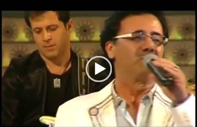 سعید حسن زاده