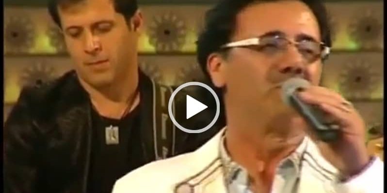 سعید حسن زاده