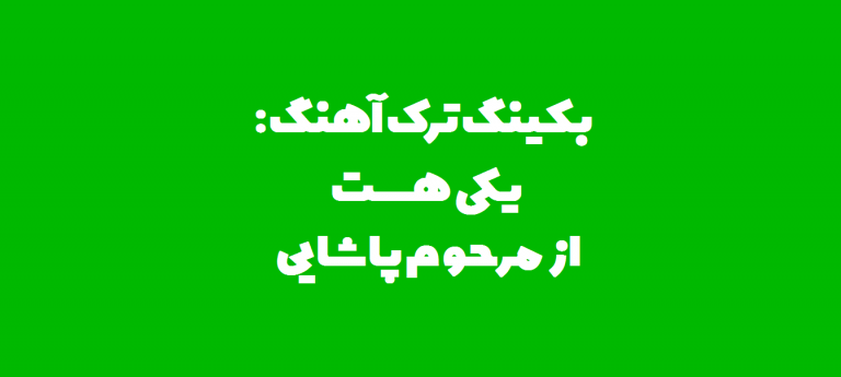 سعید حسن زاده